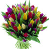 bouquet di tulipani pastello