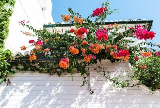 balcone fiorito