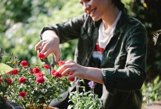 cura di fiori e delle piante